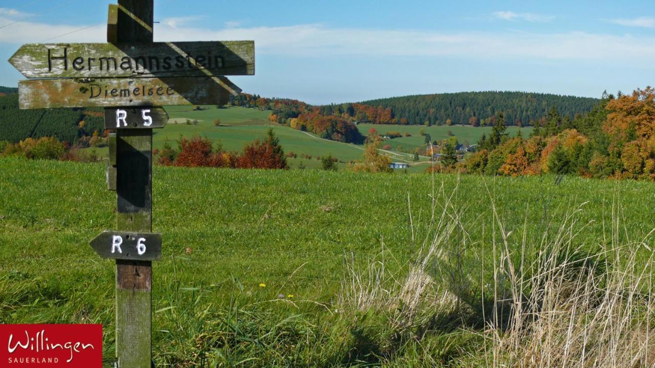 Goebels Landhotel Willingen  Exteriér fotografie