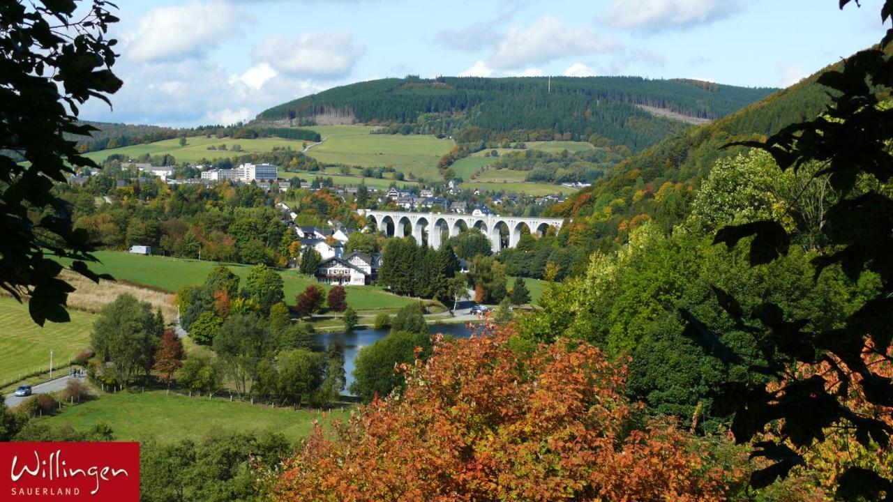 Goebels Landhotel Willingen  Exteriér fotografie